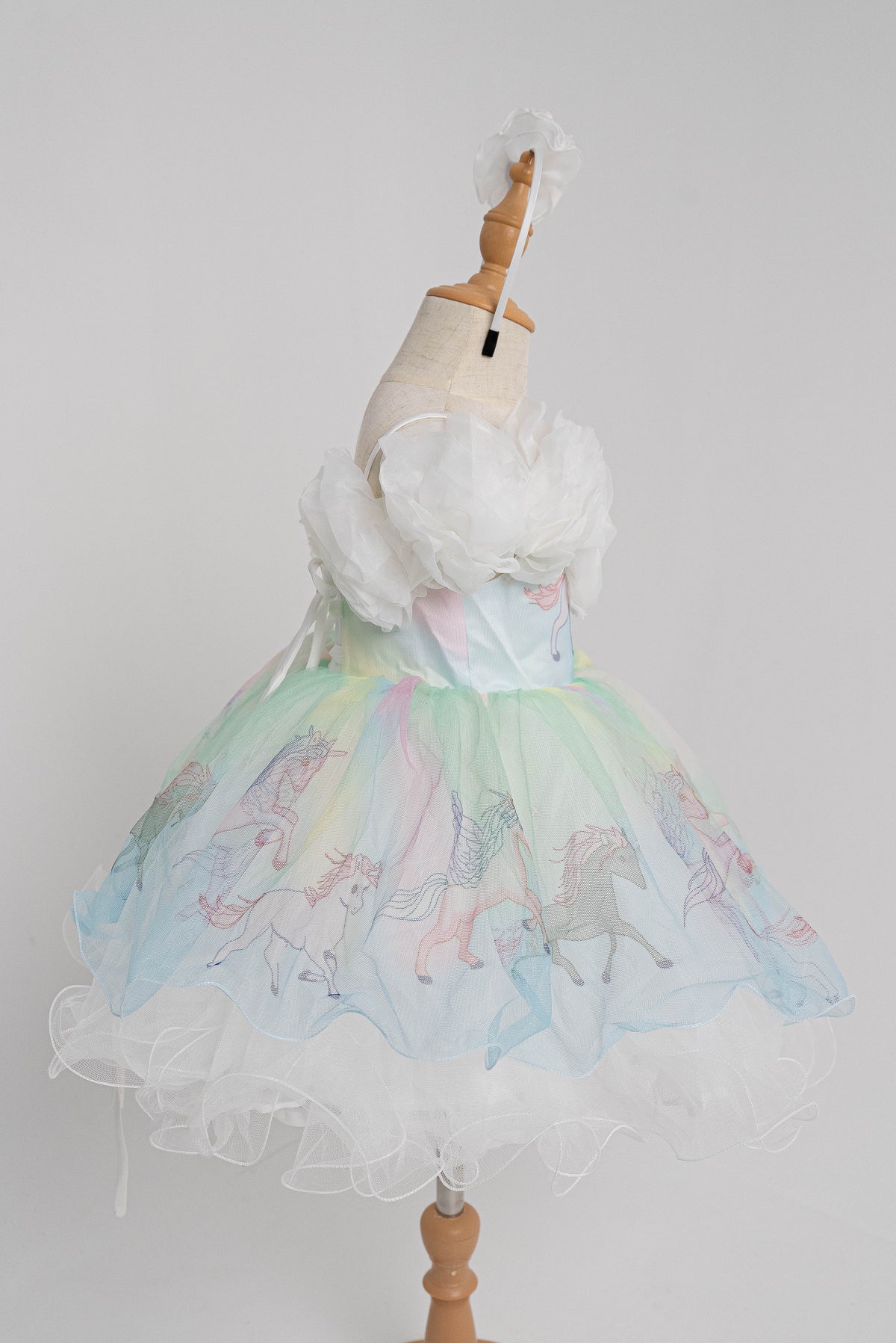 Celeste Dream Princess Gown
