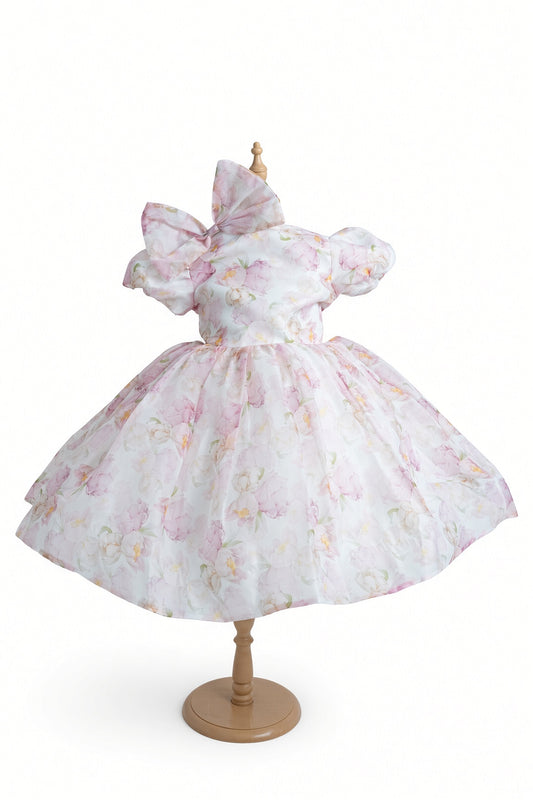 Pink Aurora Royale Dress