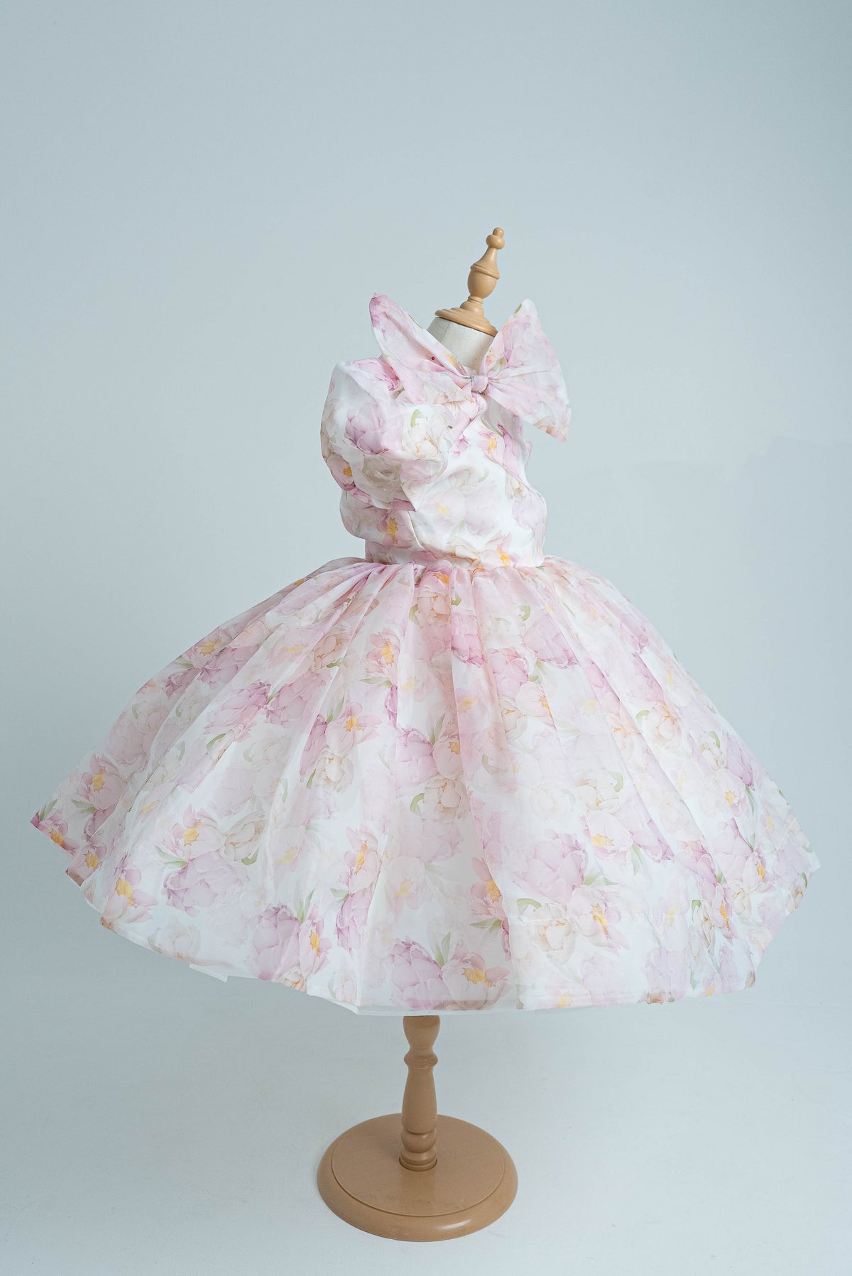 Pink Aurora Royale Dress