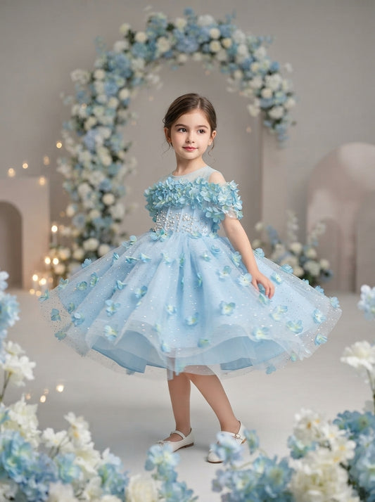 Front view of a child wearing a light blue dress with floral shoulders, a beaded bodice and decorated skirt.